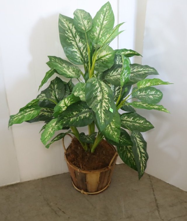 Artificial Plant