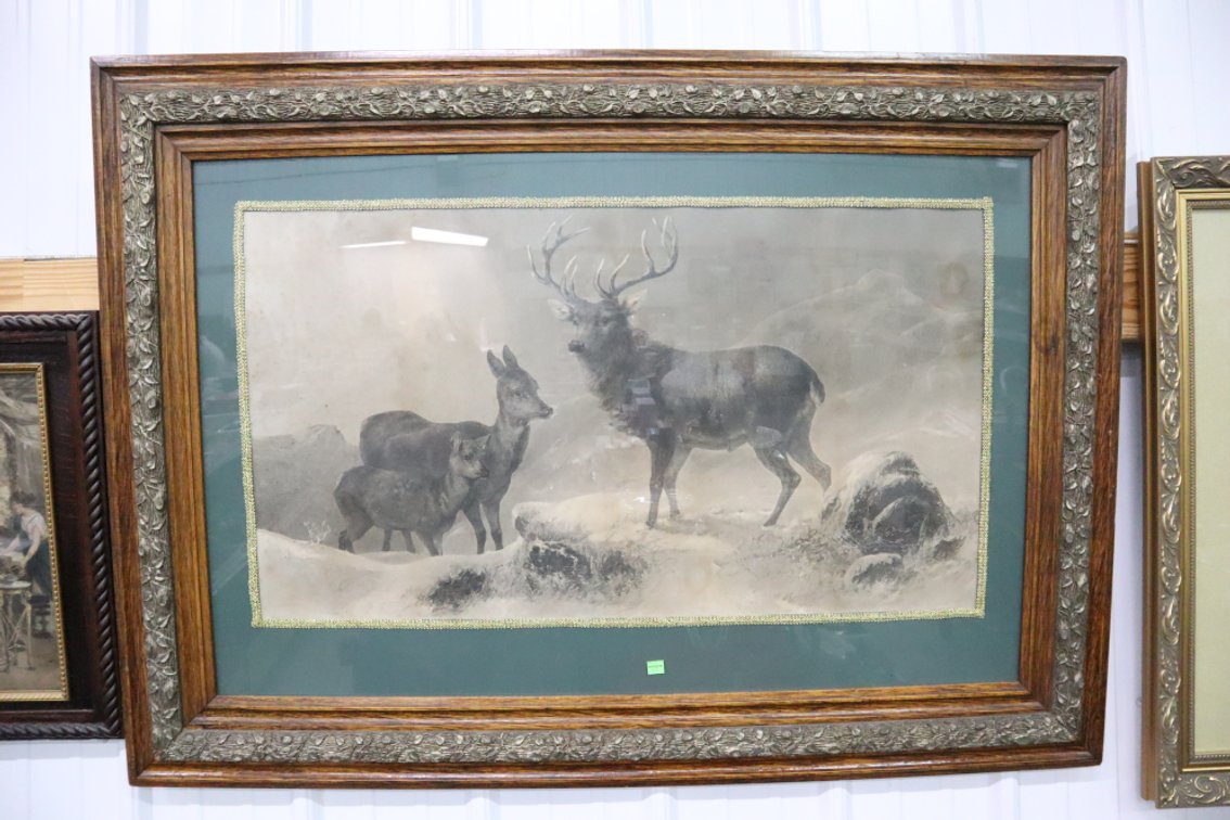 Large Framed Stag Print
