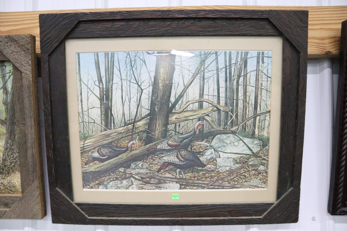 Wild Turkeys Framed Print