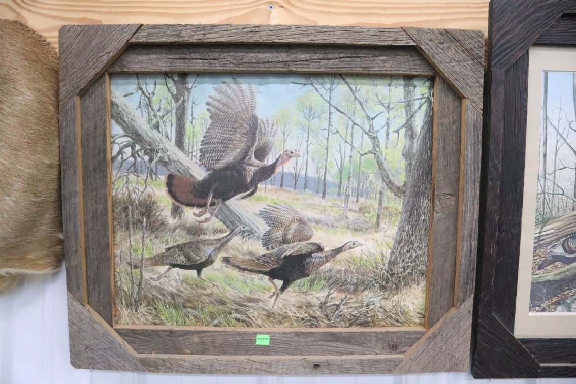 Wild Turkeys Framed Canvas Picture