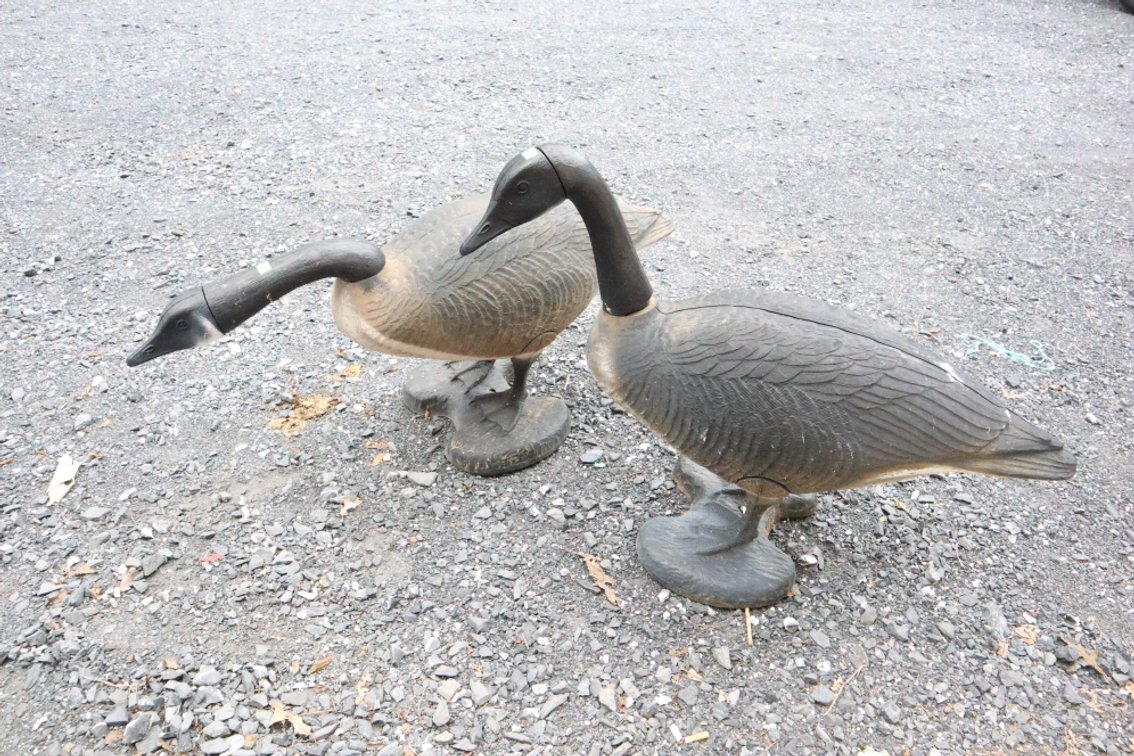 Pair of Goose Decoys