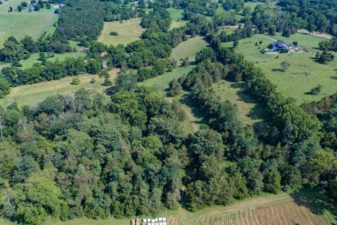 Image for Farm Land - Augusta County