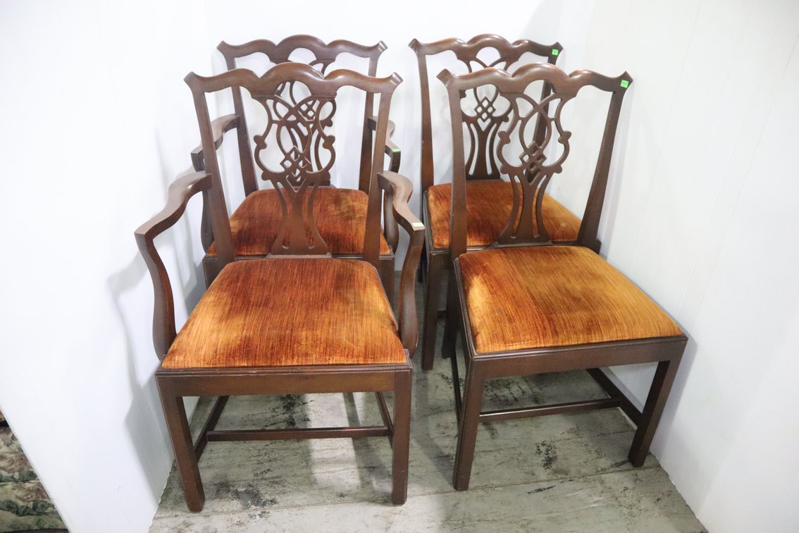 Dining Chairs
