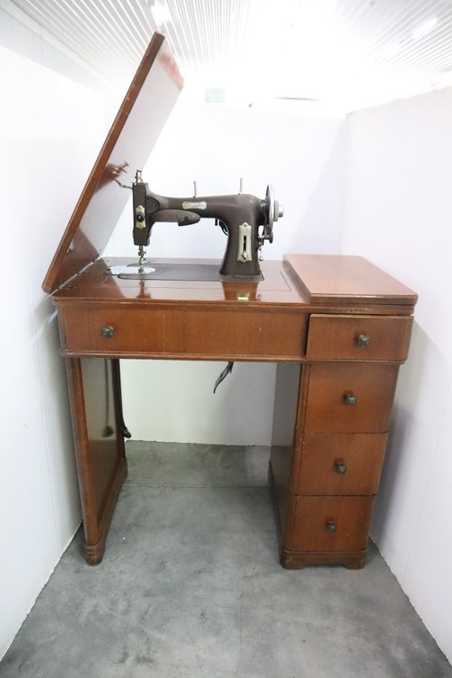 Domestic Sewing Machine