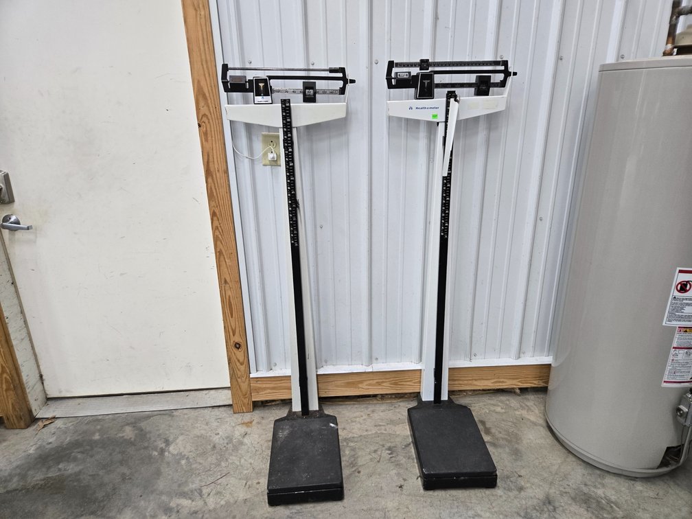Pair Of Healthometer Scales