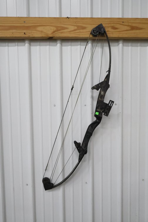 Bear Archery Bow