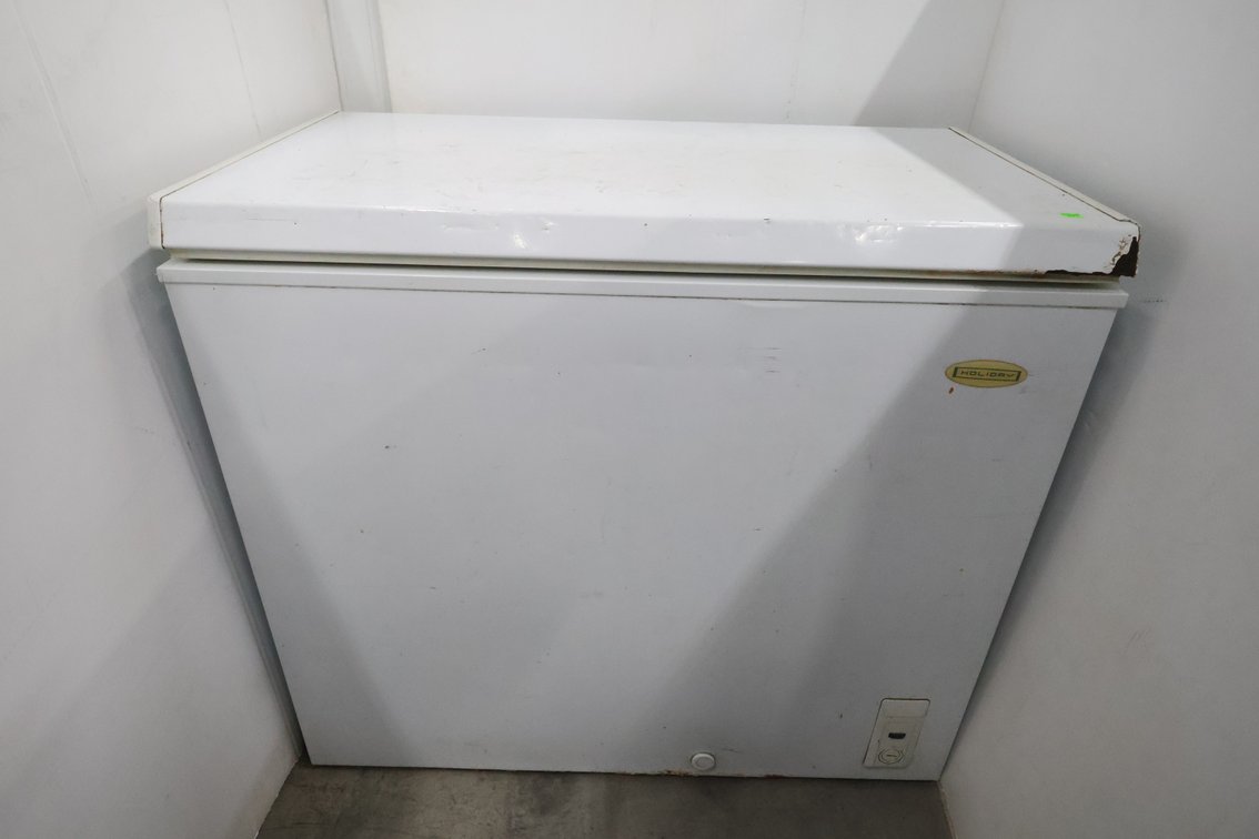 Holiday Chest Freezer