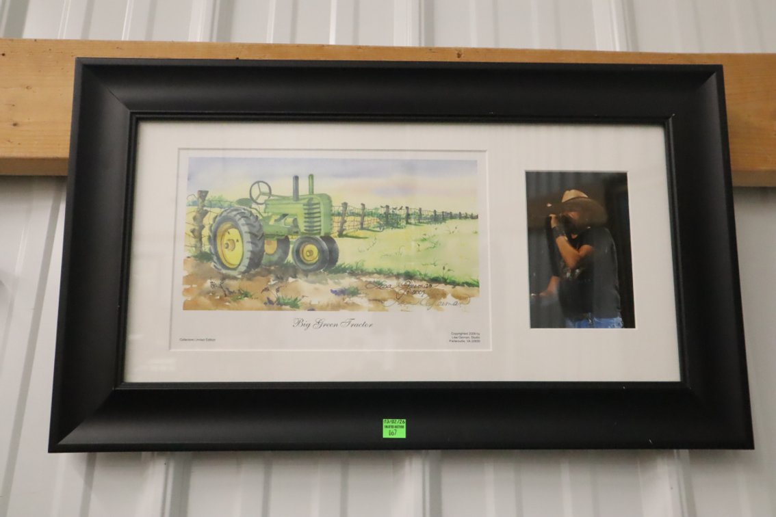 Lisa Geiman Framed Print