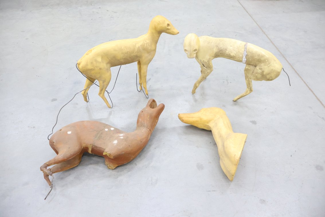 Taxidermy Forms