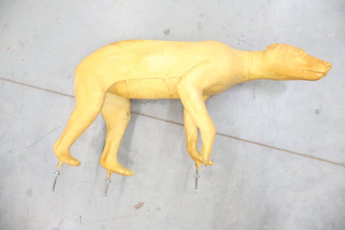 Taxidermy Form