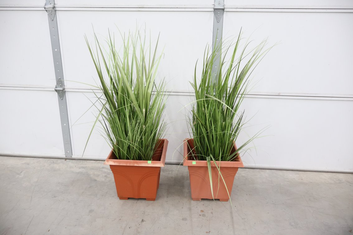 Artificial House Plants