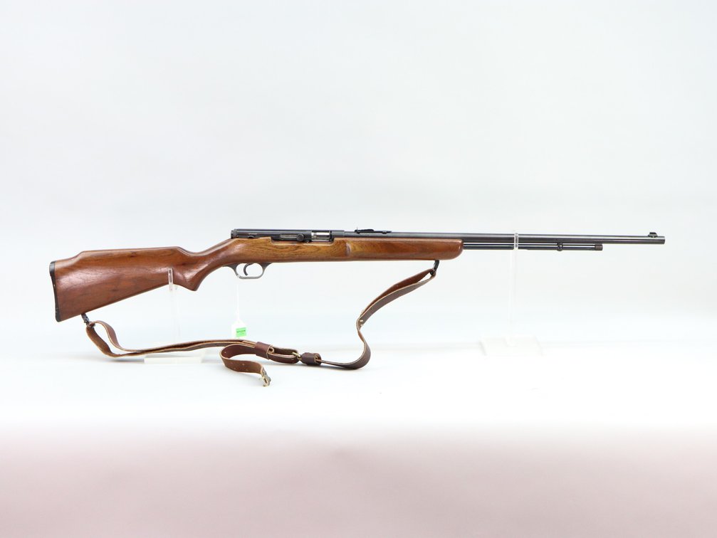 Savage 6 Deluxe, 22 S, L or LR