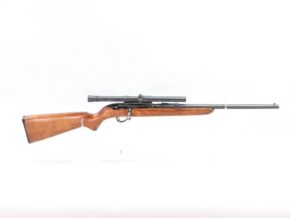 Savage 73Y, 22 S, L, LR
