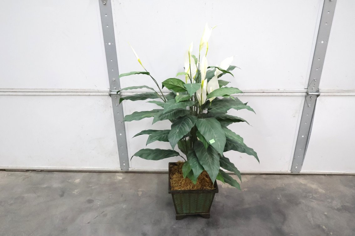 Artificial House Plant