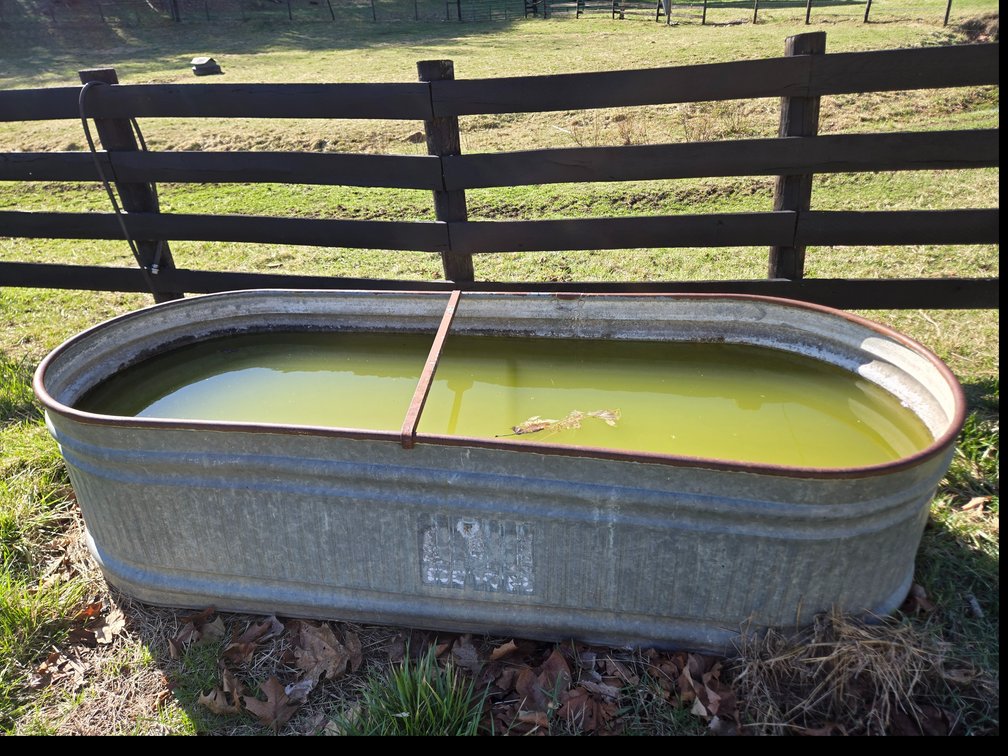 Galvanized water trough