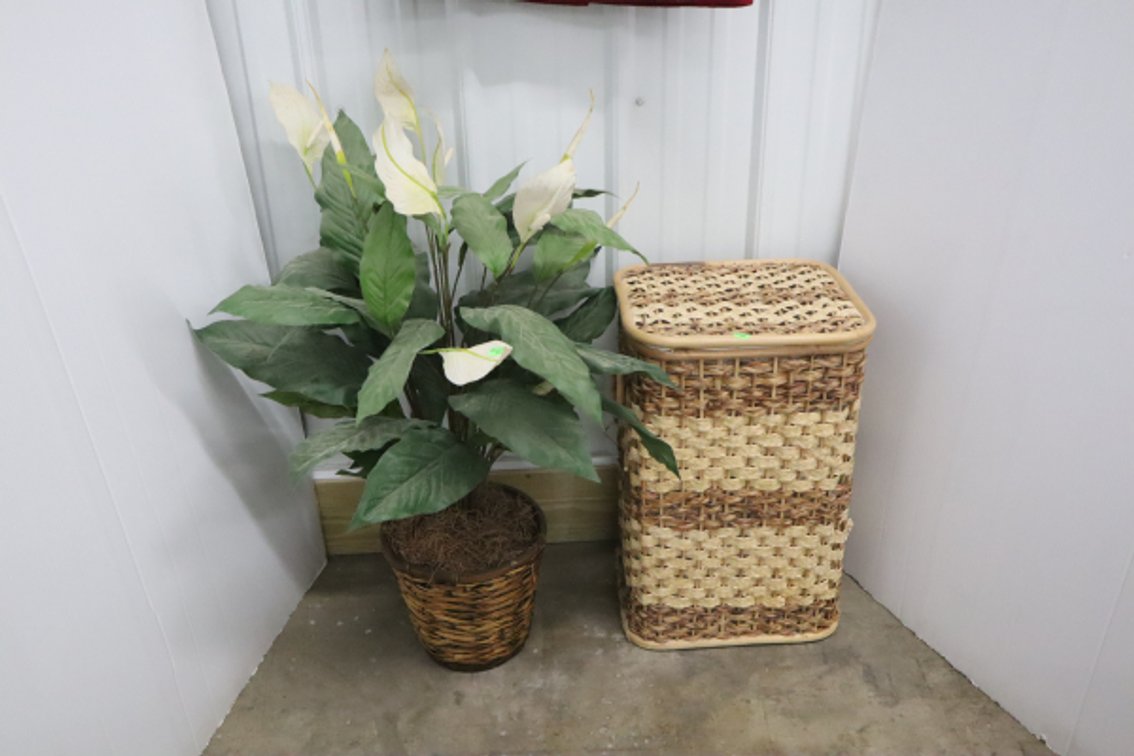 Artificial Plant and Laundry Basket