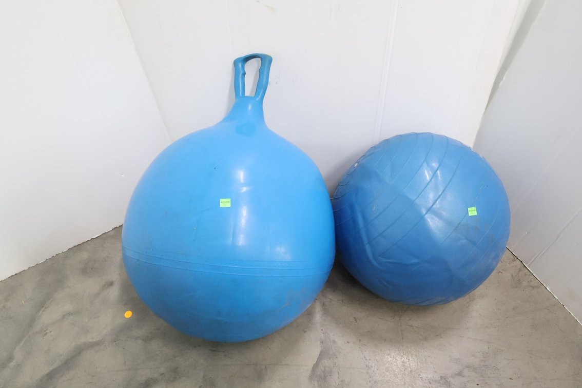Exercise Balls
