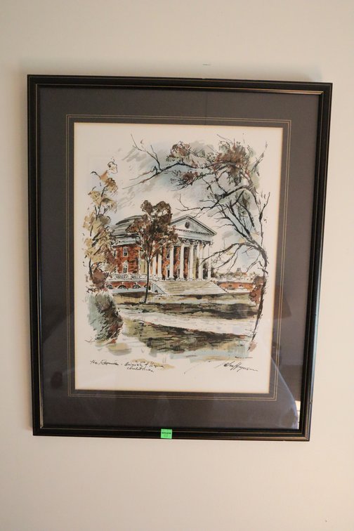 UVA Framed Print