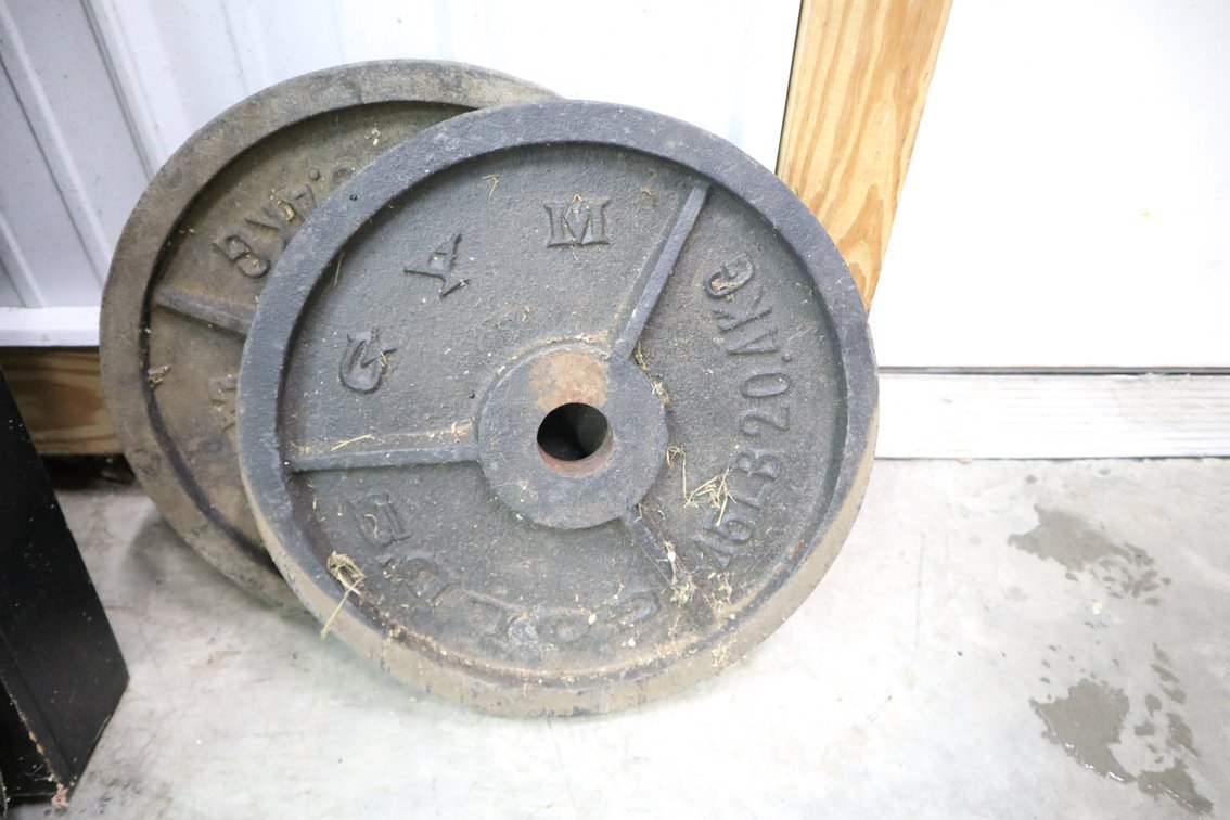 Pair of Gold's Gym 45 Lb Weights