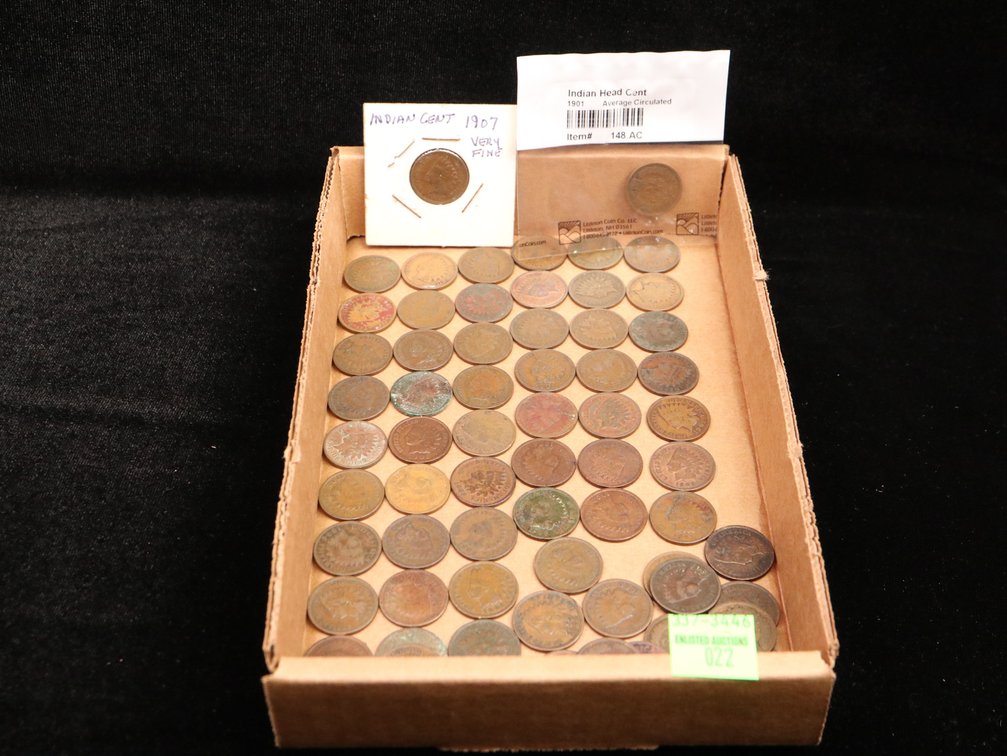 (66) Indian Pennies 1900–1909