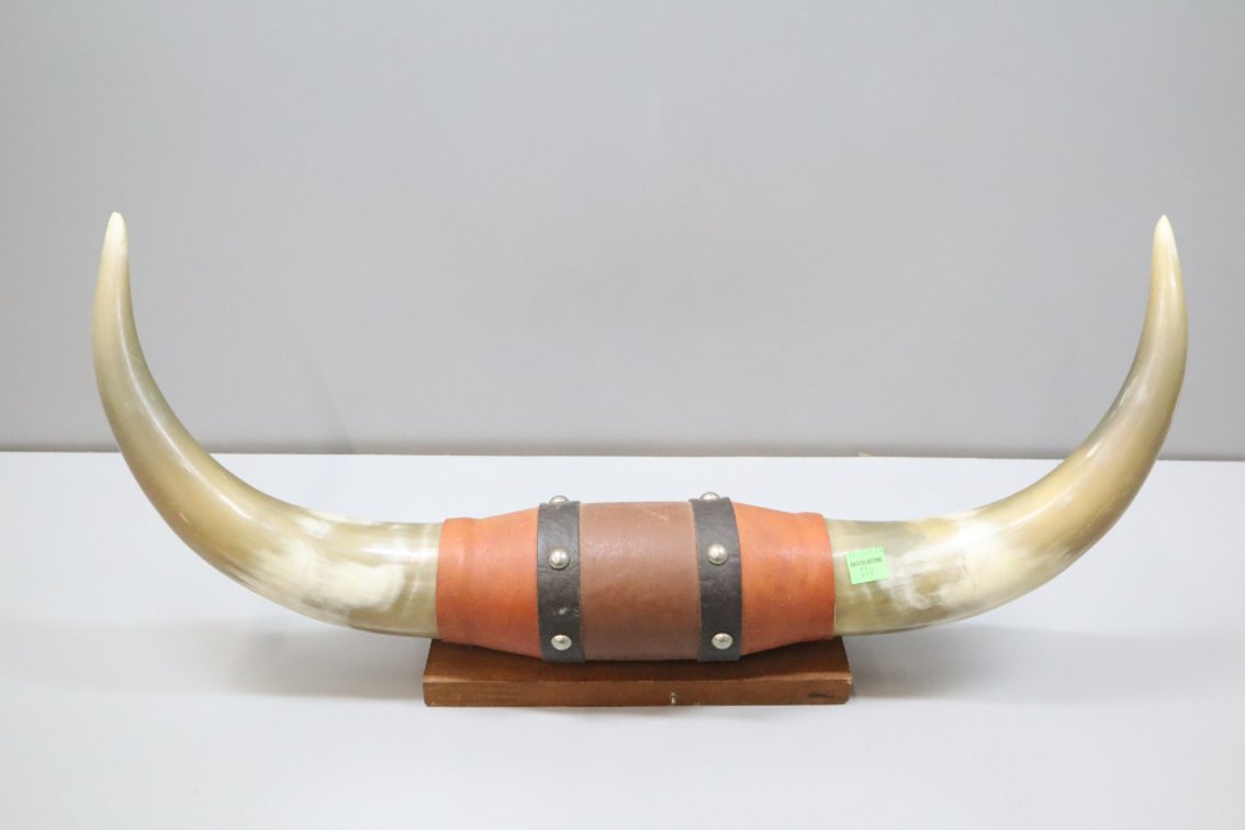 Decorative Horns