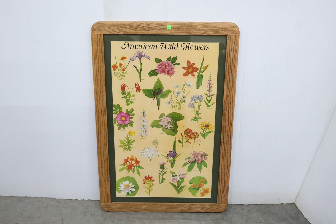 American Wildflowers Framed Print
