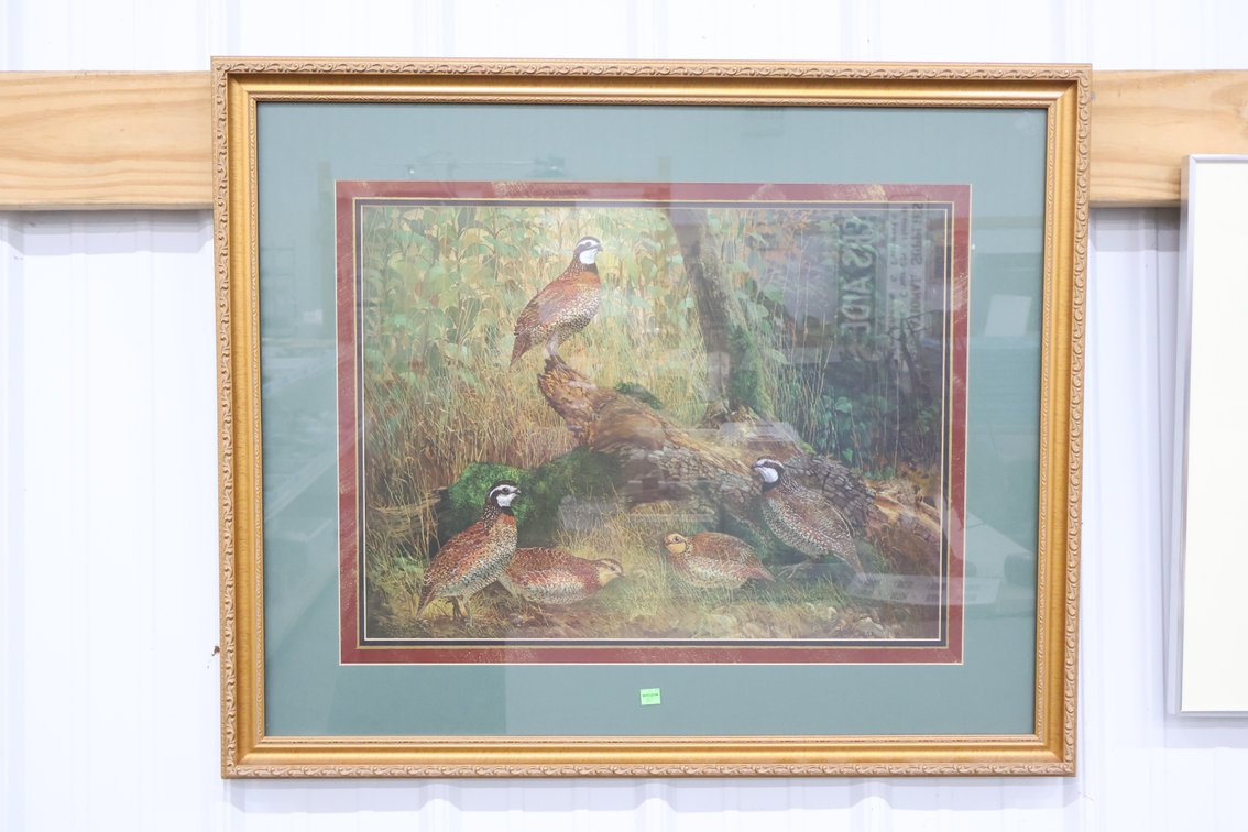 Framed Print