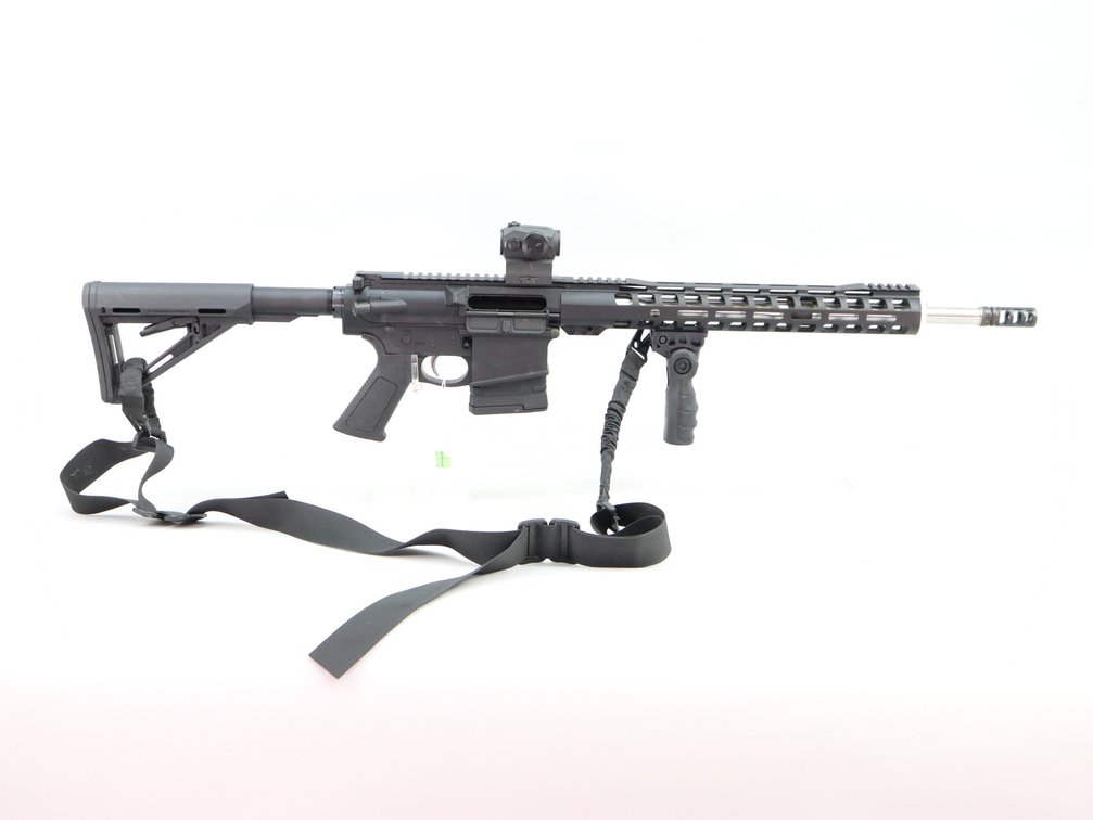 Palmetto State Armory G3-10, 308