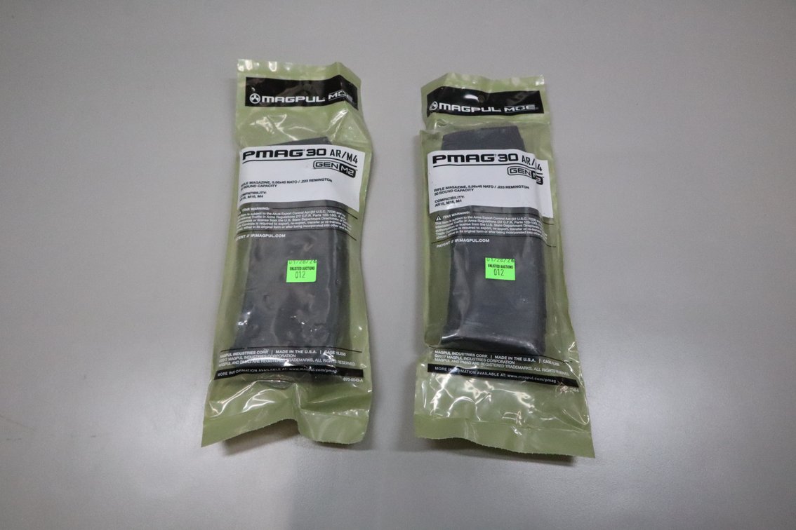 Two 30 Round Mags