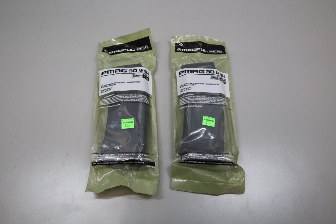 Two 30 Round Mags