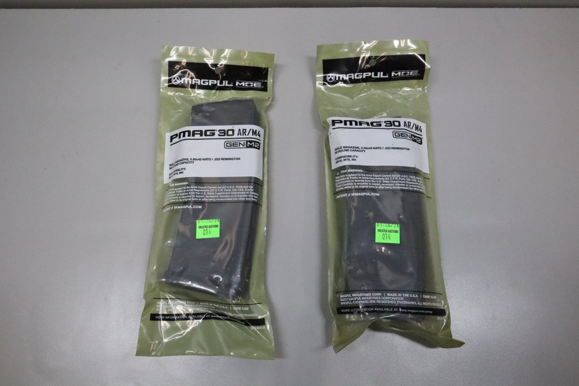 Two 30 Round Mags