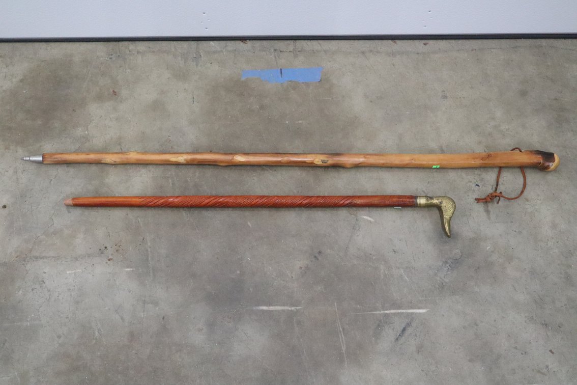 Two Walking Sticks