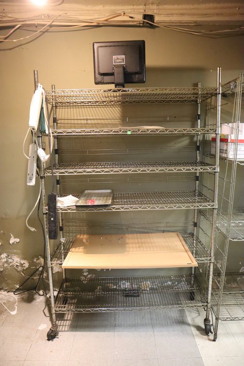 Shelf and Contents