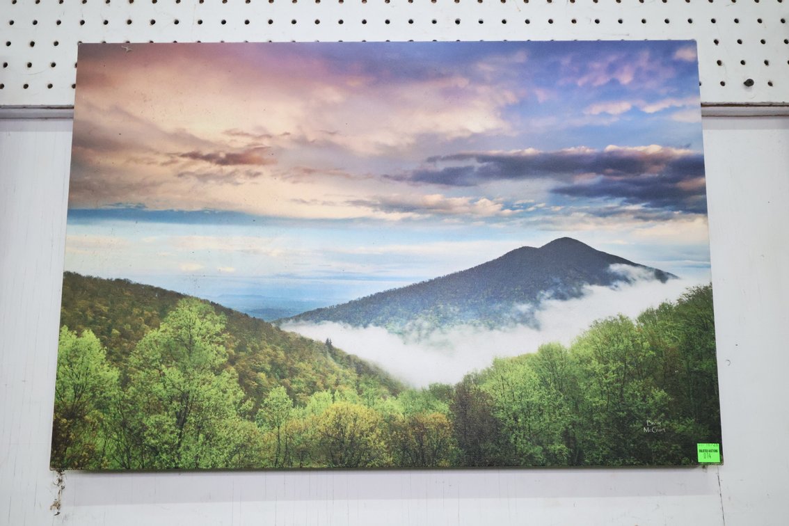 Scenic Box Canvas