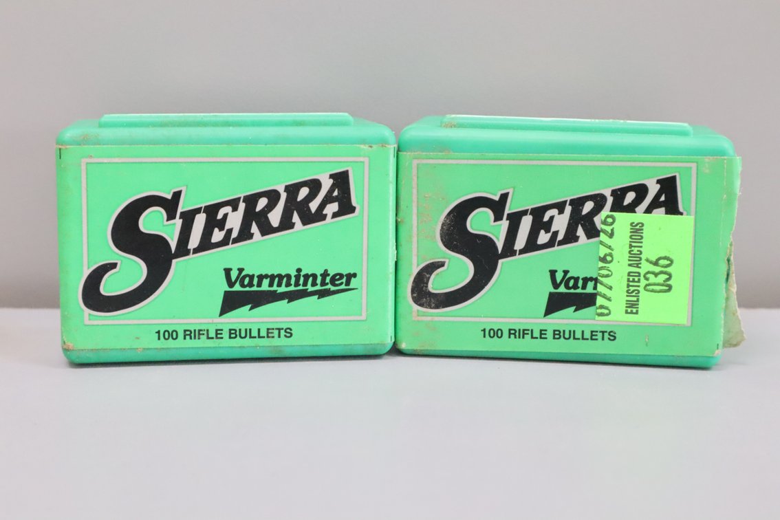 22 Caliber Bullets