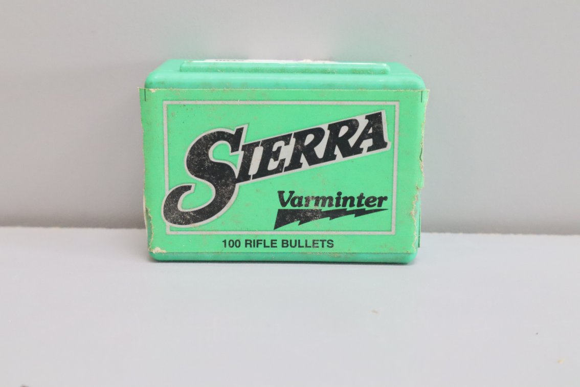 22 Caliber Bullets