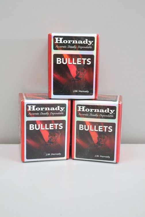 22 Caliber Bullets