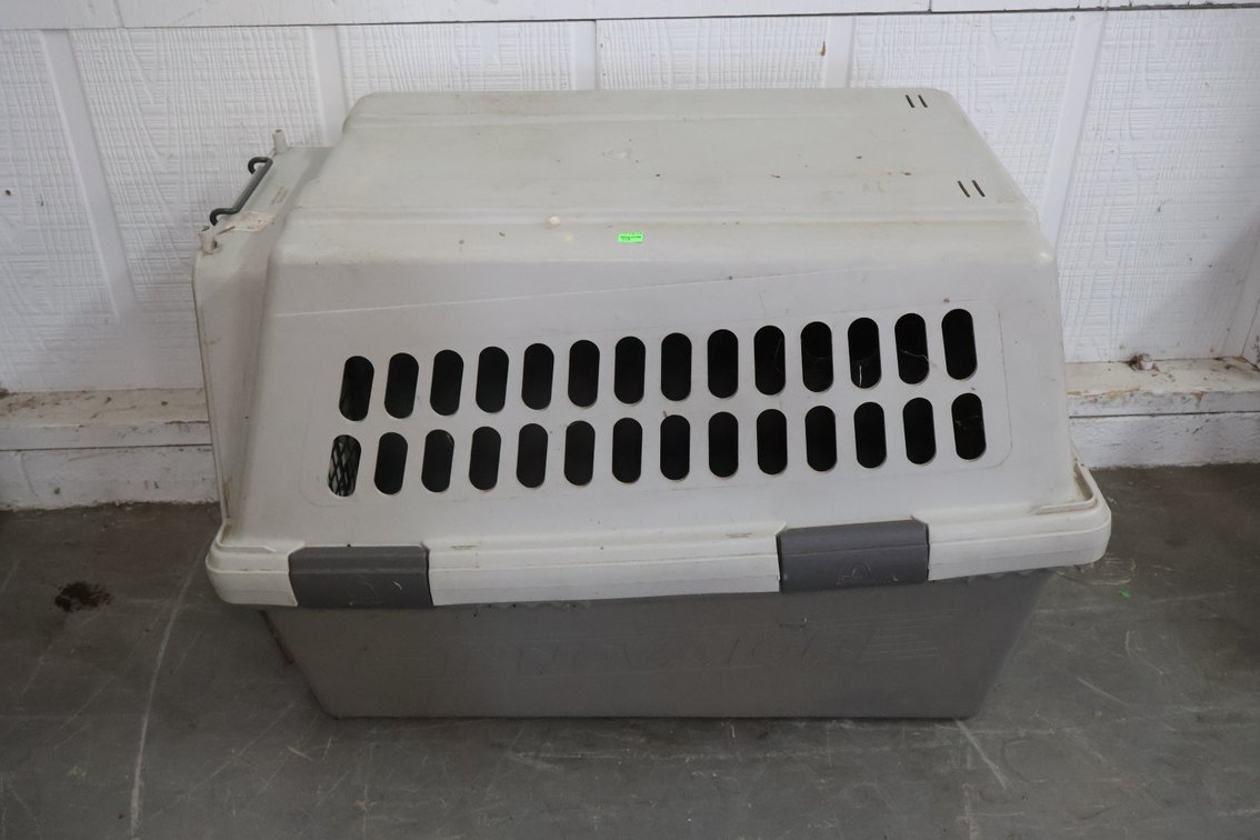 Pet Carrier