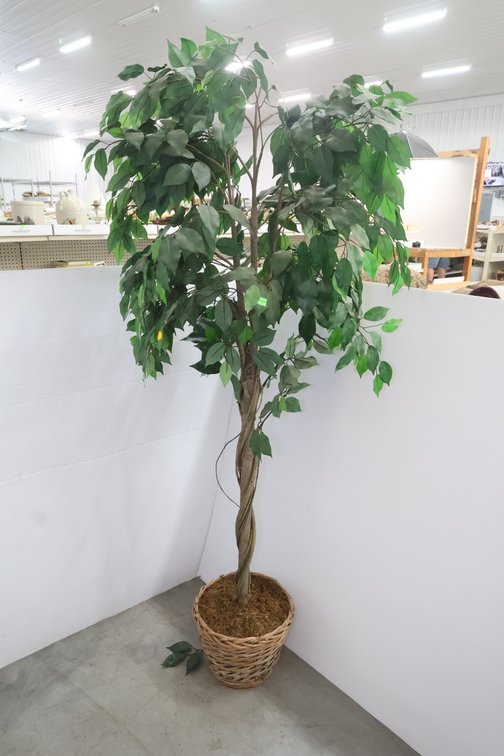 Artificial House Plant