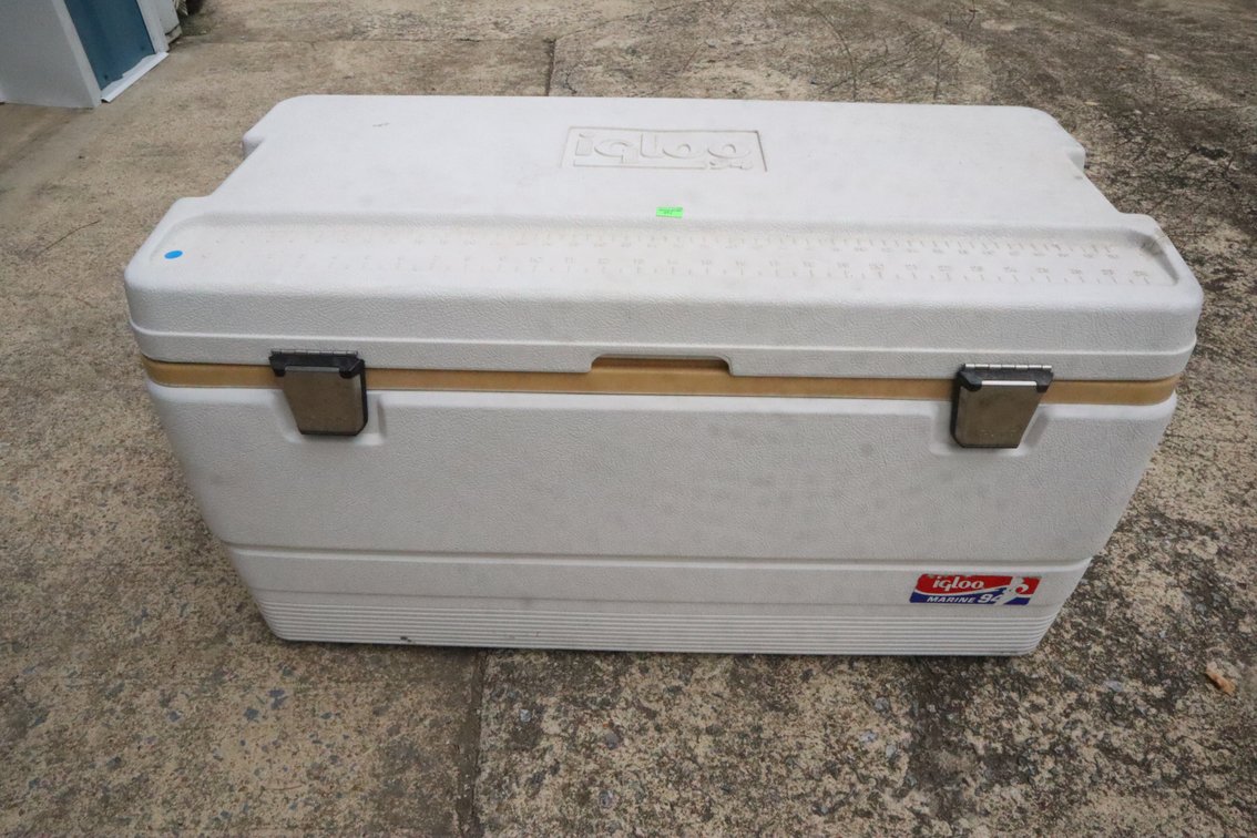 Igloo Cooler