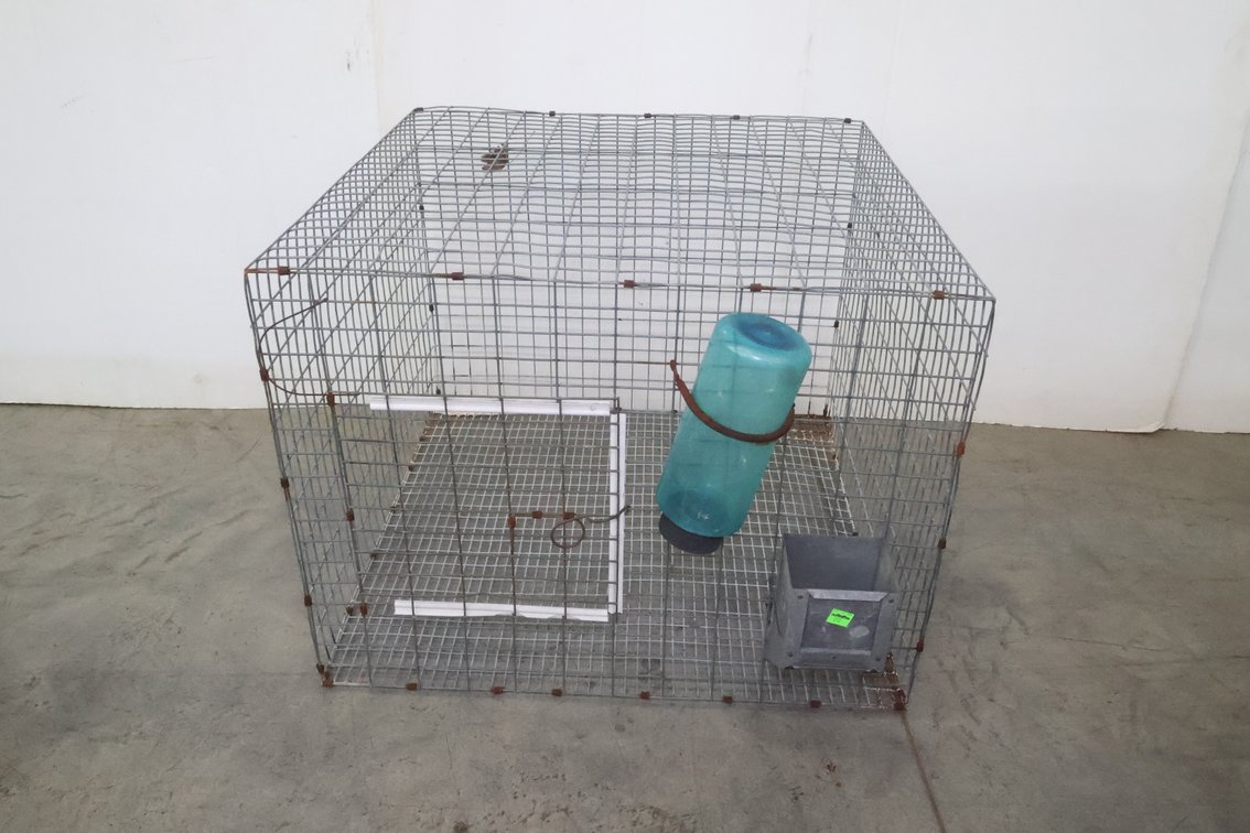 Animal Cage