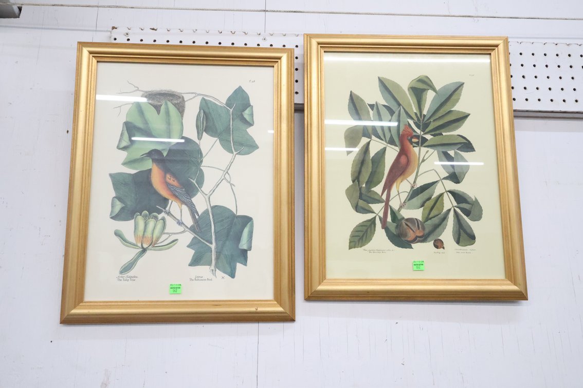 Bird Prints