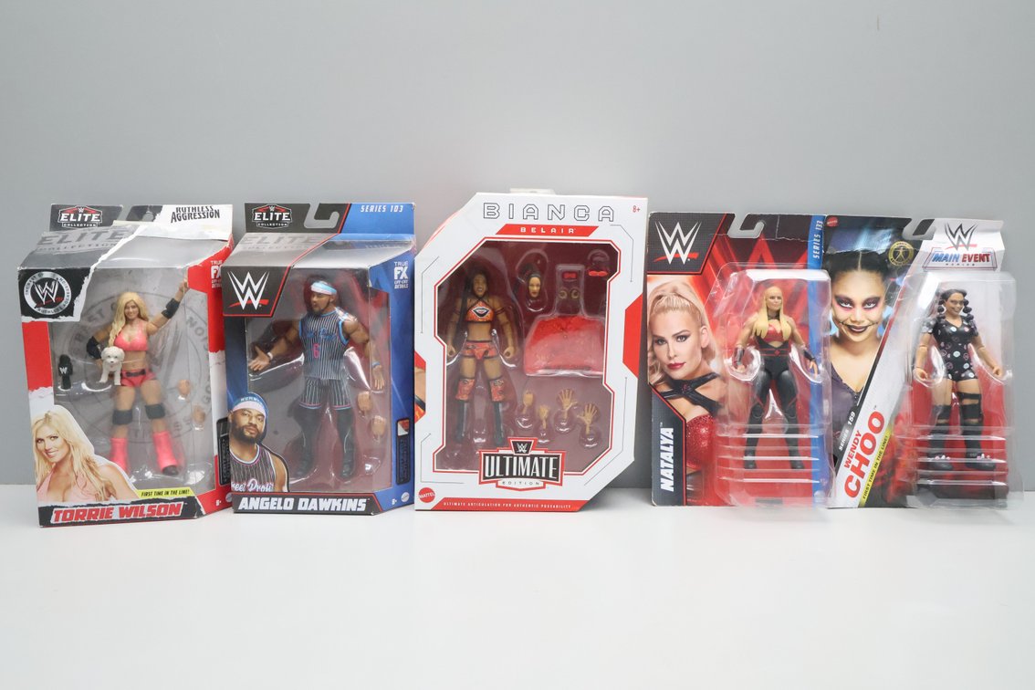 WWE Wrestling Figures