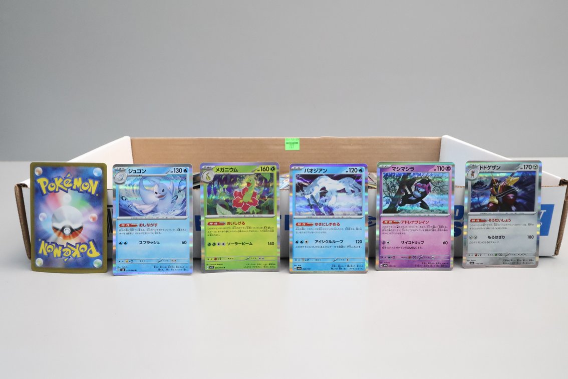Pokemon Japanese Holo Cards
