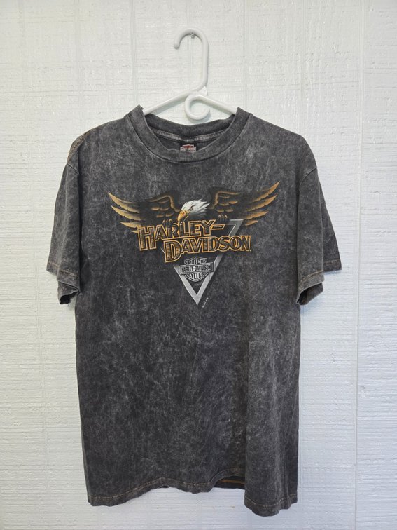 Harley-Davidson T-Shirt - Jamestown, New York