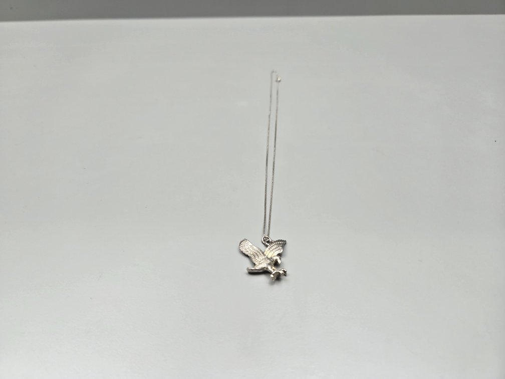 Generic Silver-Tone Metal Eagle Pendant Necklace
