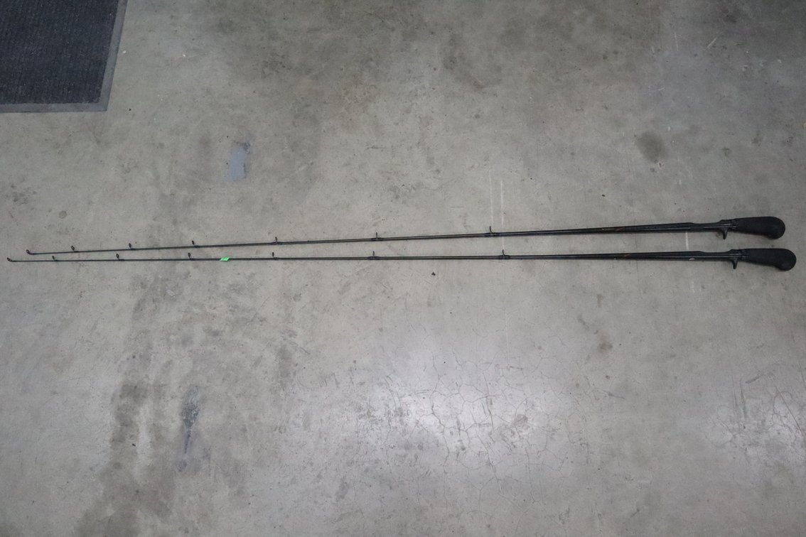 Two Fishing Rods & Case