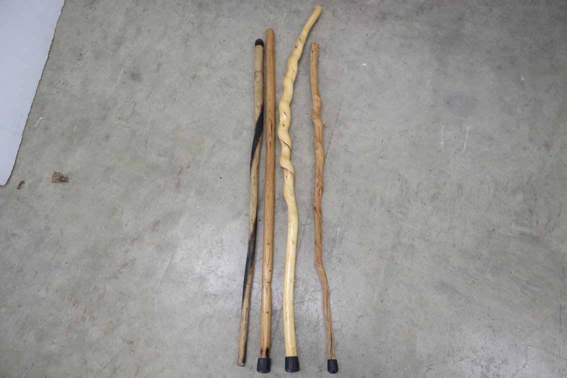 Walking Sticks