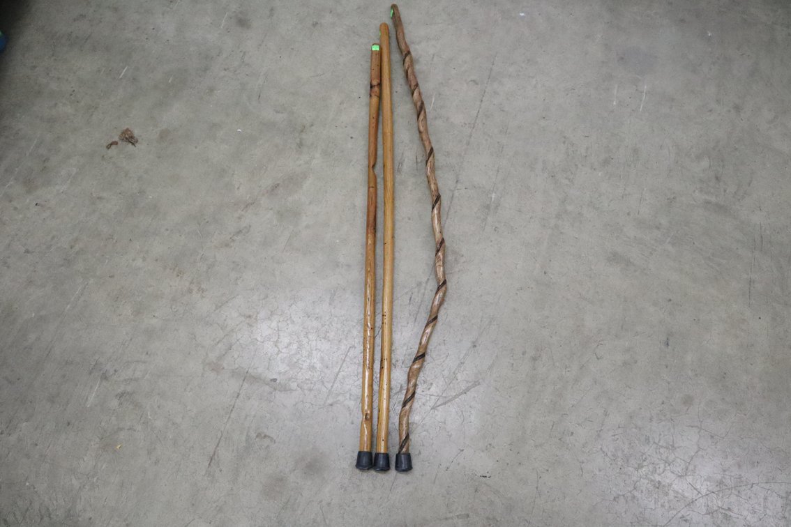 Walking Sticks