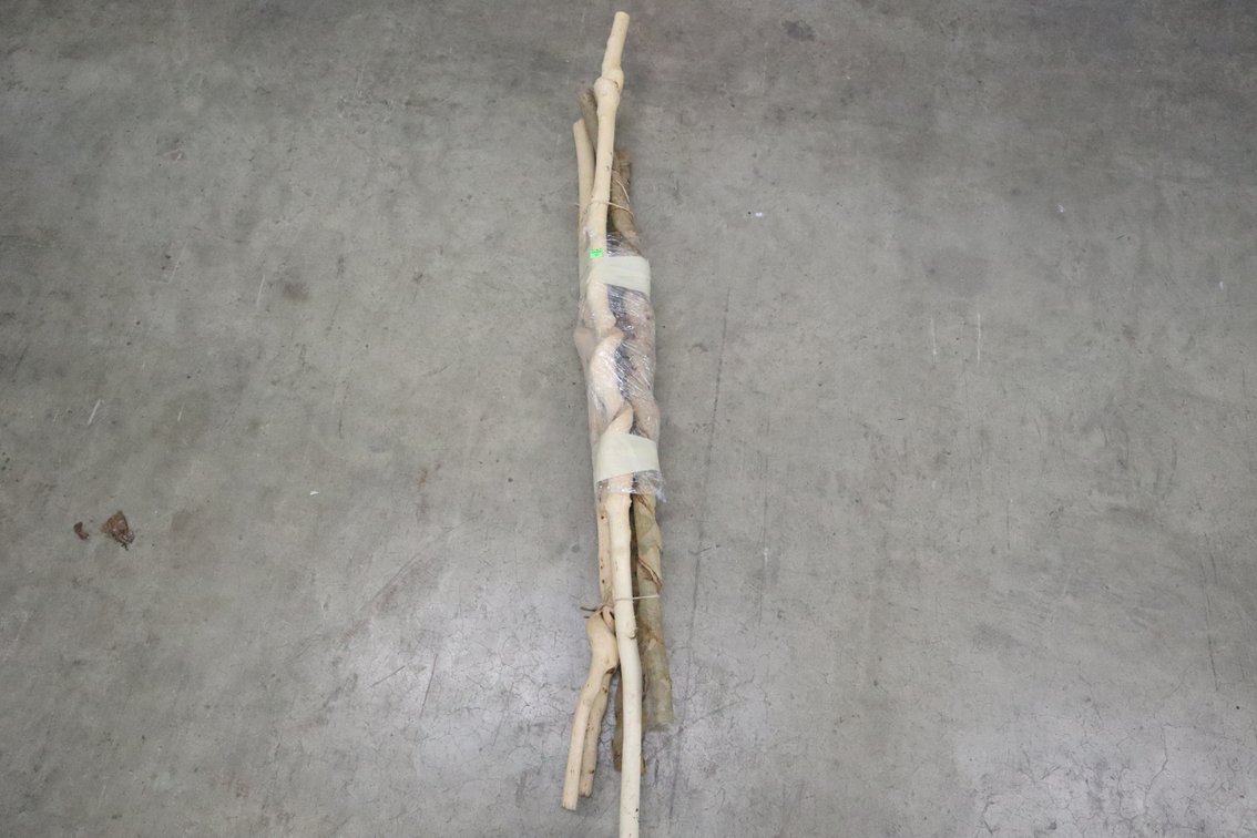 Walking Sticks